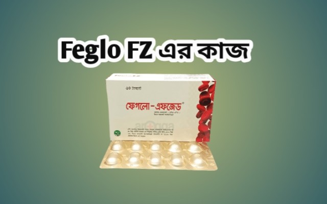 Feglo-FZ-এর-কাজ-কি